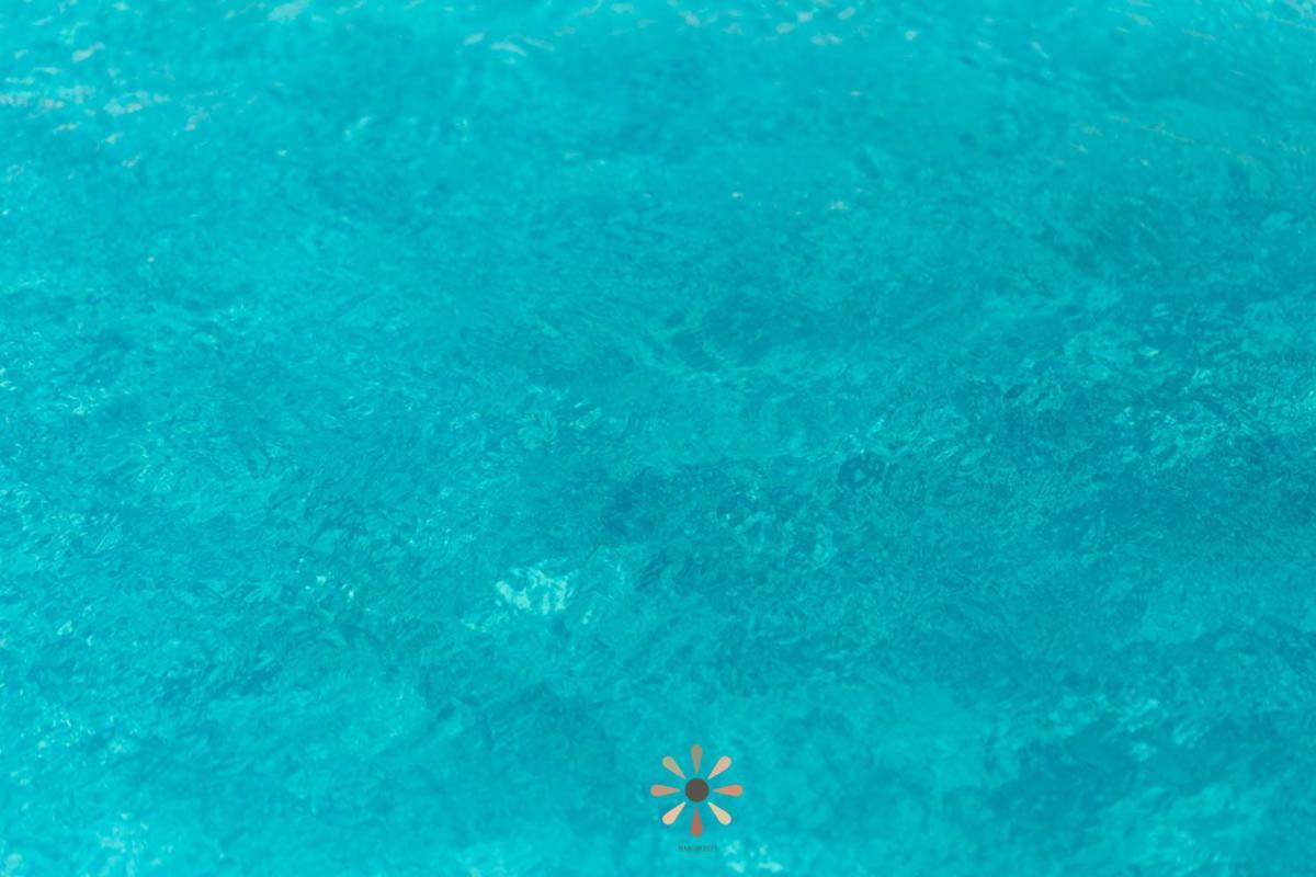 Agriturismo Tenuta Margherita Torre Lapillo Luaran gambar